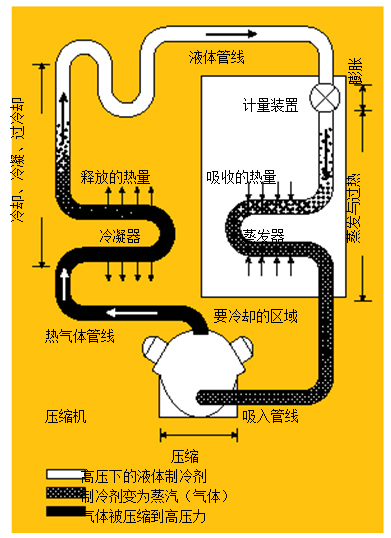 圖1.制冷系統(tǒng) 在典型的制冷系統(tǒng)中，壓縮機(jī)將熱氣體送到冷凝器，隨后，冷凝液通過蒸發(fā)器中的一個膨脹閥，進(jìn)行蒸發(fā)并獲取來自被冷卻區(qū)域的熱量。